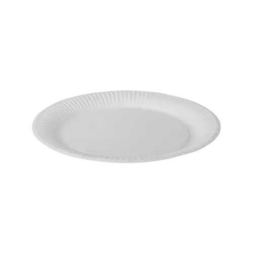 Round Paper Plate